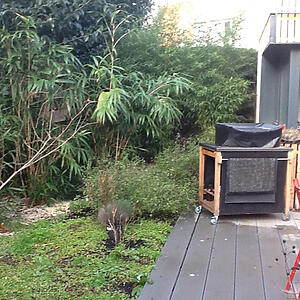 le nain vert toulouse