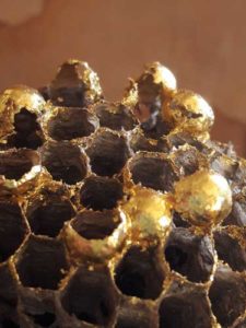 sophie blanc doreuse