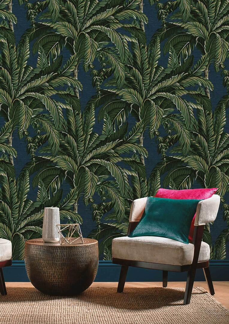 beaux papiers peints toulouse