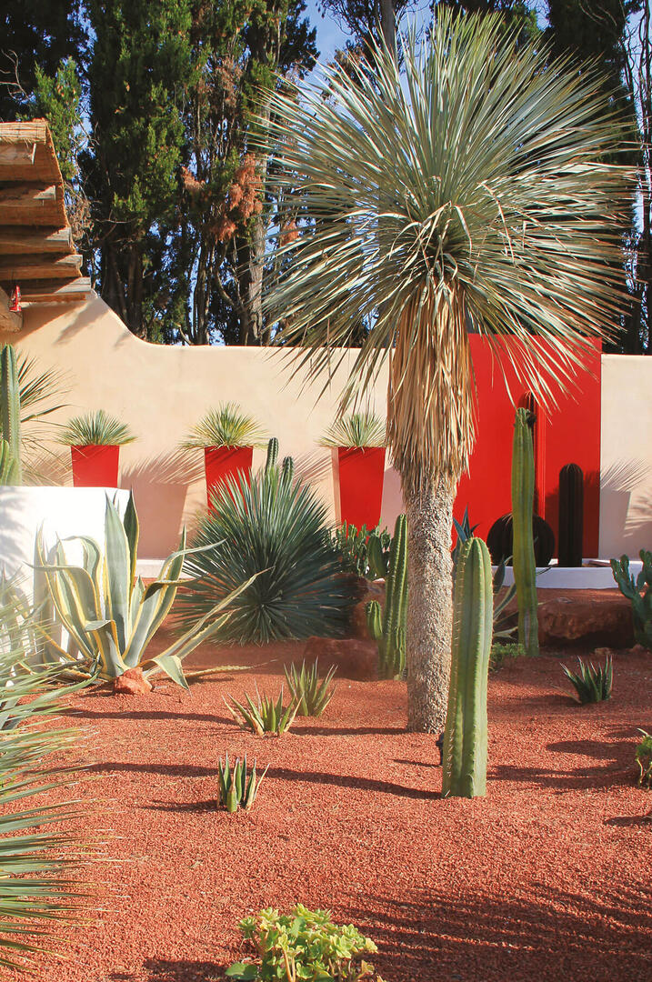 salon extérieur jardin tarn