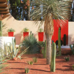 salon extérieur jardin tarn