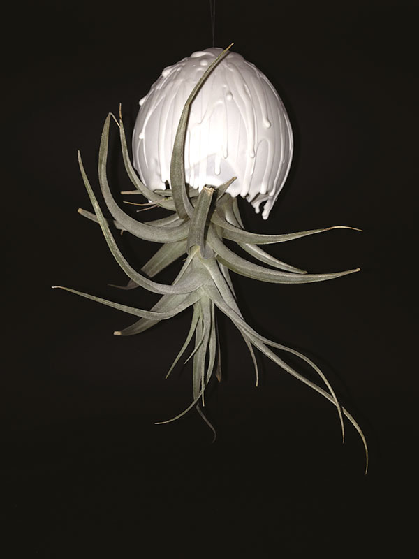 maison shopping fete des meres mai 2022