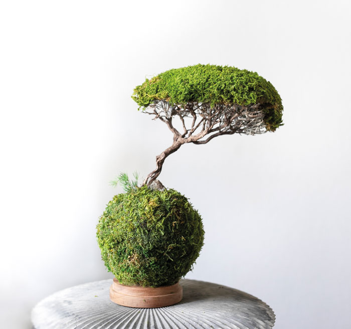 fete des peres 2022 idee cadeau