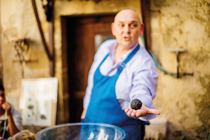bleu pastel tarn la ferme au village le chateau des plantes