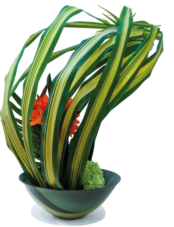 shopping special japon maison deco