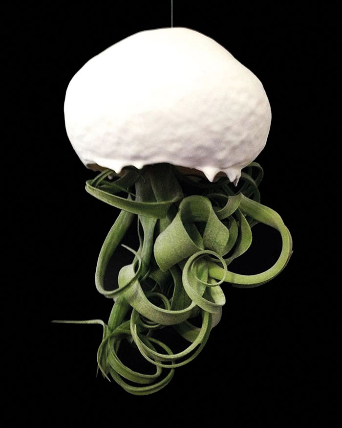 virginie delepierre ceramiste primee tarn