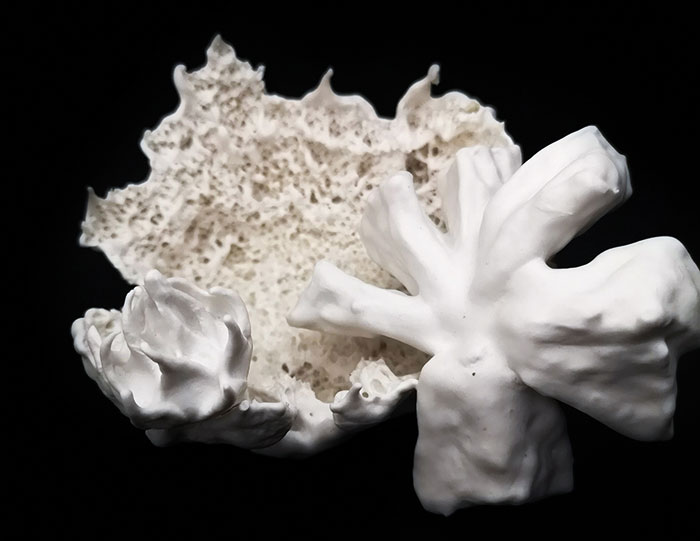 virginie delepierre ceramiste primee tarn