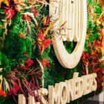 agence vegetale capsule vegetale toulouse