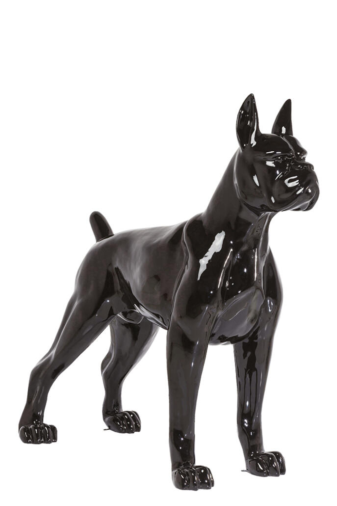 ambiance discotheque pour la maison