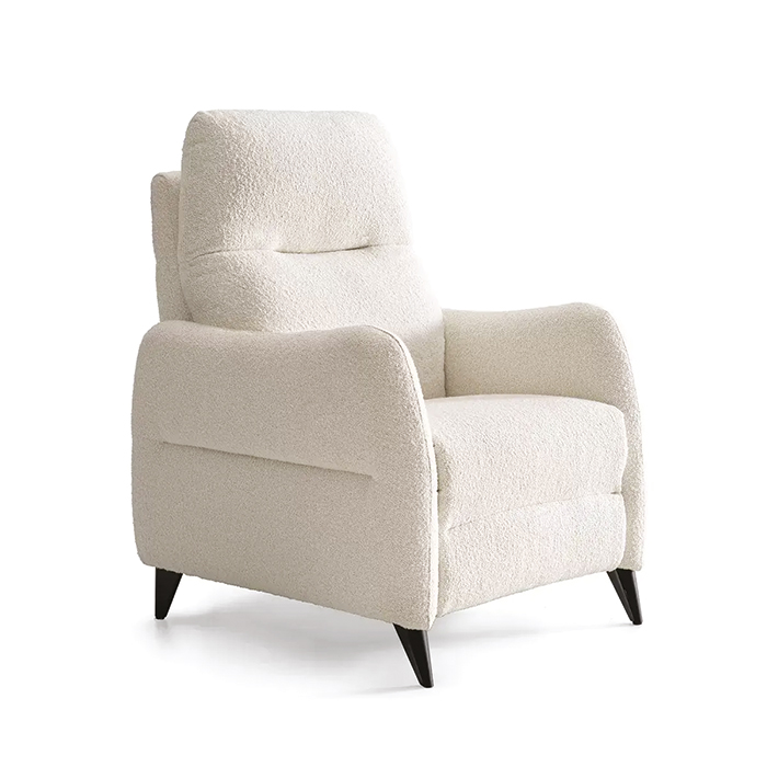 salon intemporel mobilier