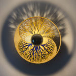 atelier chris and co