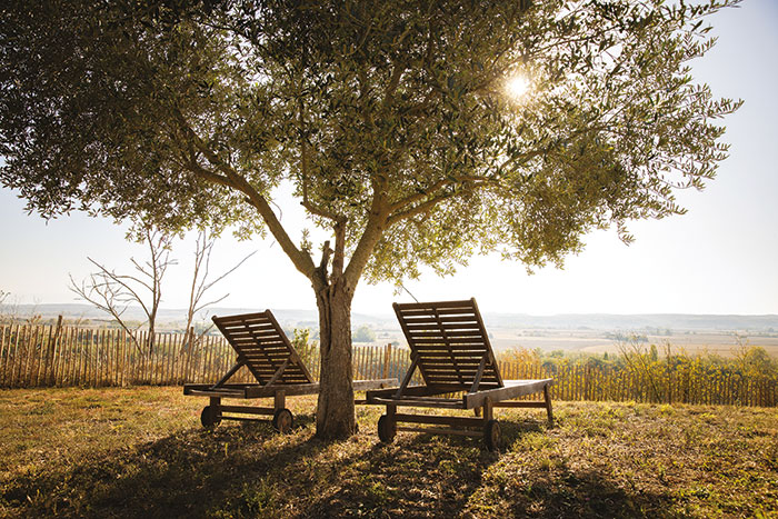 domaine de quintalone