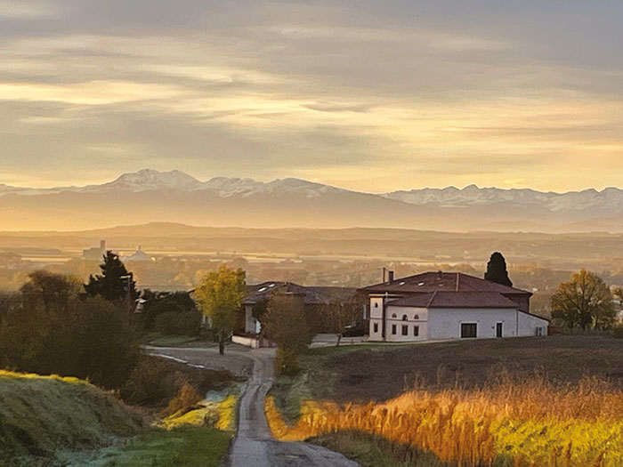 domaine de quintalone