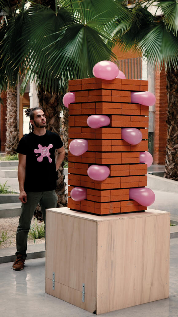 salon de l'habitat toulouse