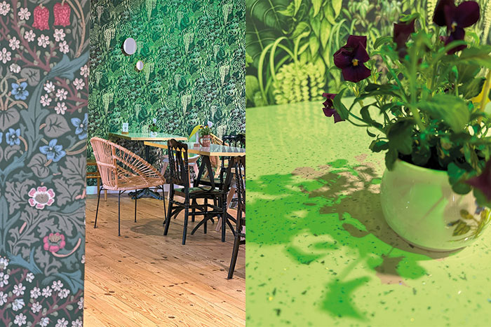 studio dichro toulouse